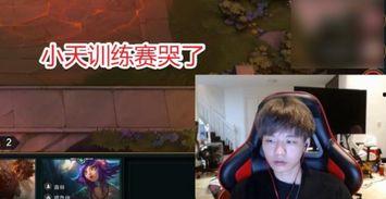 涵艺爆料刘青松视频播放,真相与争议并存